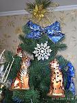     
: photo_2021-12-28_11-19-35.jpg
: 8
:	160.3 
ID:	13537134