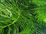     
: IMG_20200506_153334.jpg
: 8
:	225.3 
ID:	13537907