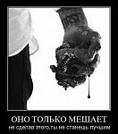     
: Screenshot_20220110-233903_VK.jpg
: 76
:	62.6 
ID:	13539123