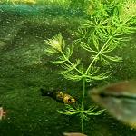     
: 20220114_122944.jpg
: 17
:	90.8 
ID:	13539952