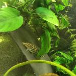     
: 20220114_125620.jpg
: 19
:	71.6 
ID:	13539953