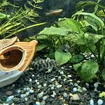     
: 20220114_125645.jpg
: 16
:	93.5 
ID:	13539954