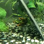     
: 20220114_125703.jpg
: 15
:	72.1 
ID:	13539955