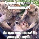     
: 20220119_123012.jpg
: 10
:	44.9 
ID:	13540983