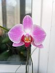     
: IMG_20220121_113953_652.jpg
: 104
:	51.2 
ID:	13541298