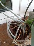     
: IMG_20220121_114001_829.jpg
: 103
:	84.9 
ID:	13541301