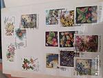     
: IMG_20200519_190051.jpg
: 58
:	123.6 
ID:	13542027