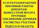     
: 426_942.JPG
: 22
:	23.8 
ID:	13542384