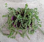     
: IMG_20220129_161216.jpg
: 2
:	175.5 
ID:	13542822