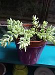     
: IMG_20220128_120130.jpg
: 3
:	68.6 
ID:	13542823