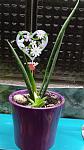     
: IMG_20220117_210809.jpg
: 7
:	82.2 
ID:	13542825