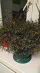     
: IMG_20220117_211125.jpg
: 4
:	92.1 
ID:	13542826
