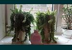     
: IMG_20220128_121433.jpg
: 7
:	103.4 
ID:	13542828
