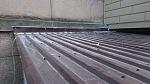     
: 09045884-D596-412D-9598-D7A398C14AED.jpg
: 10
:	86.5 
ID:	13543142