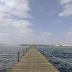     
: i (7)2365.jpg
: 34
:	9.1 
ID:	13544468