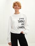     
: l_20212-w1hm99z8-r9j_a1.jpg
: 6
:	43.7 
ID:	13544770