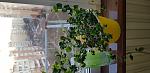     
: 20220107_154437.jpg
: 9
:	102.9 
ID:	13545688