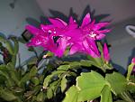     
: IMG_20220213_172304_BURST14.jpg
: 16
:	102.6 
ID:	13545961