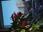     
: IMG_20220213_172229.jpg
: 17
:	102.5 
ID:	13545962