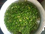     
: IMG_20220323_085101.jpg
: 7
:	199.5 
ID:	13548668