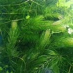     
: IMG_20220323_085258.jpg
: 14
:	179.6 
ID:	13548670