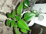    
: 20211130_191613.jpg
: 24
:	167.4 
ID:	13549094