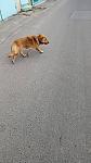     
: signal-2022-04-02-13-30-48-530-1.jpg
: 36
:	123.2 
ID:	13549479