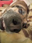     
: IMG_20220331_221040.jpg
: 3
:	63.5 
ID:	13549620