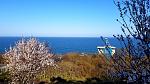     
: 2022-04-08 17.23.06.jpg
: 14
:	217.6 
ID:	13550574