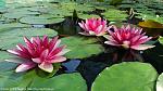     
: IMG_20210718_095037.jpg
: 192
:	125.5 
ID:	13550893