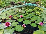     
: IMG_20210821_151602.jpg
: 194
:	269.7 
ID:	13550894