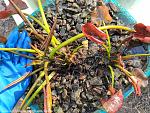     
: IMG_20220412_175155.jpg
: 190
:	286.6 
ID:	13550899