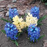     
: 20220419_170308.jpg
: 5
:	198.8 
ID:	13551289