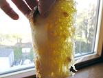     
: !IMG_0341.jpg
: 35
:	228.9 
ID:	13551509