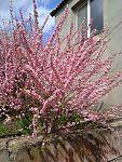     
: _viber_2022-04-24_15-01-15-967.jpg
: 5
:	201.5 
ID:	13551683
