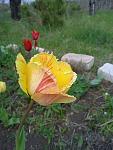     
: _viber_2022-04-24_15-01-12-751.jpg
: 8
:	80.4 
ID:	13551684