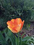     
: _viber_2022-04-24_15-01-12-892.jpg
: 6
:	88.4 
ID:	13551685