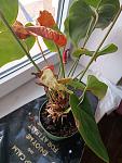     
: IMG_20220427_172532.jpg
: 67
:	86.3 
ID:	13551812