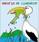     
: b5ed71764a34fb5695af79b1ef666950--humor-quotes-never-give-up.jpg
: 66
:	21.7 
ID:	13552192