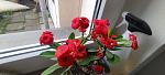     
: IMG_20220501_142952.jpg
: 3
:	87.2 
ID:	13552233