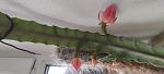     
: IMG_20220501_142923.jpg
: 2
:	81.8 
ID:	13552234