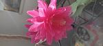     
: IMG_20220429_172201.jpg
: 3
:	45.5 
ID:	13552235