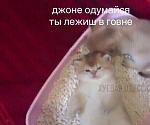     
: CC85E800-B5AA-434B-AA30-BE2C72BB0DBB.jpeg
: 20
:	56.7 
ID:	13552303