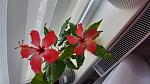     
: 20210516_154317.jpg
: 13
:	121.3 
ID:	13552411