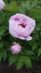     
: DSC_5456.JPG
: 8
:	69.8 
ID:	13552457