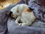     
: IMG-9fc5844aef0acdb23deea70b03bdfeb2-V.jpg
: 43
:	150.4 
ID:	13552549