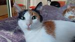     
: IMG-a639fee9b5a4c264dd33c96b634884ac-V.jpg
: 30
:	87.4 
ID:	13552580