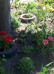     
: P20509-130051.jpg
: 18
:	106.7 
ID:	13552777