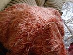     
: 20220312_094550.jpg
: 13
:	176.7 
ID:	13552925