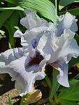    
: IMG-6598188ff74b80f1fa9af24abc2b3661-V.jpg
: 5
:	107.2 
ID:	13553074
